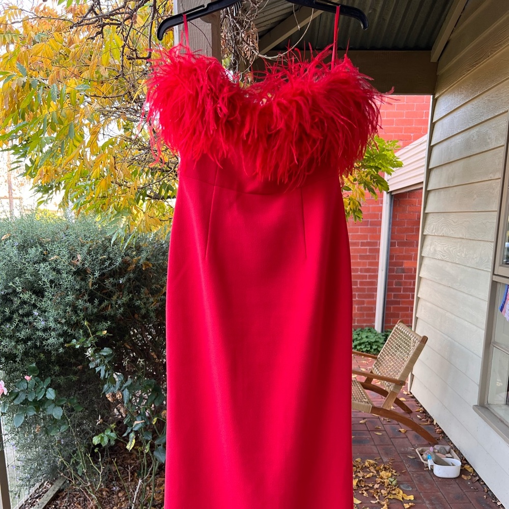 Rebecca Vallance Scarlett Strapless Gown Size 10 (fits 10-12) - Picture 4 of 10